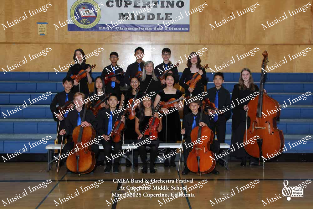 Musical Images